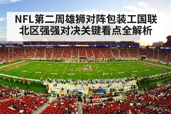 american football stadium crowd